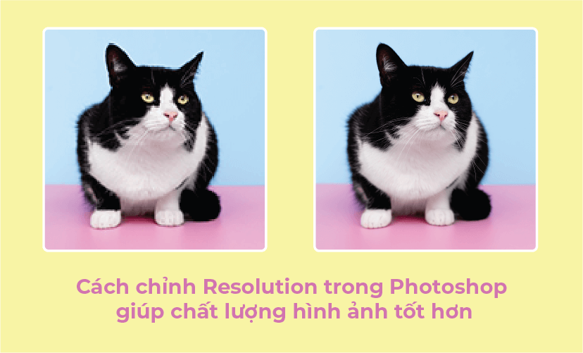 Cách chỉnh Resolution trong photoshop giúp chất lượng hình ảnh tốt hơn