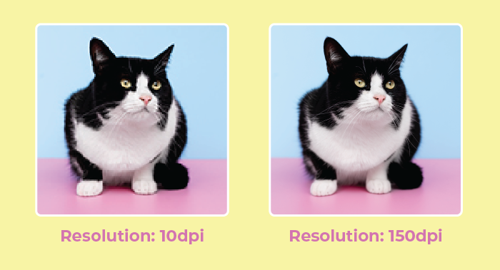 Chỉnh resolution trong photoshop giúp chất lượng hình ảnh tốt hơn